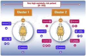 High-Risk Obesity Phenotypes: Target for Multimorbidity Prevention at the ROFEMI Study. 1