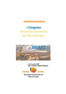 Primer Congreso de la Sociedad Extremeña de Neurocirugía. Programa 0
